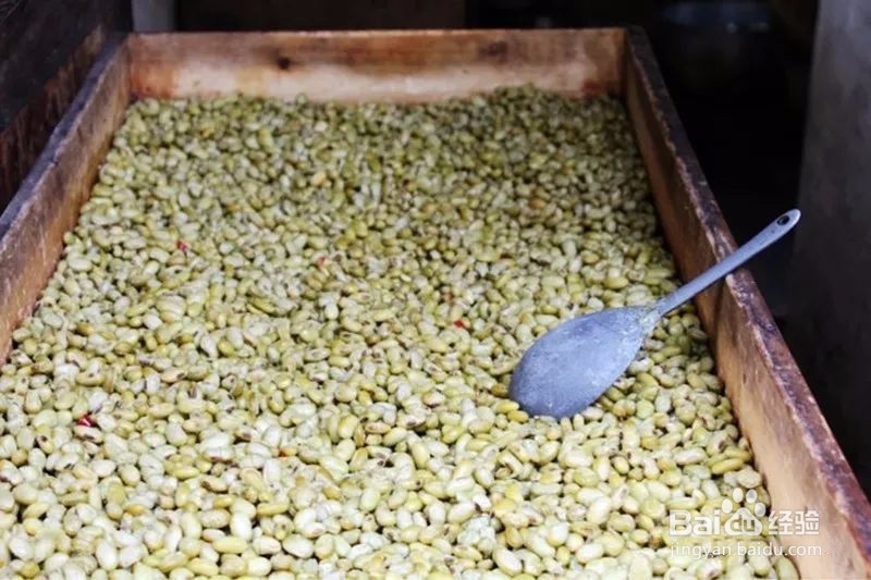 寻味周庄，这些当季美食，比大闸蟹还让人上瘾！