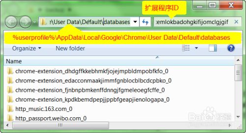 Chrome如何备份扩展程序(插件)的选项数据?