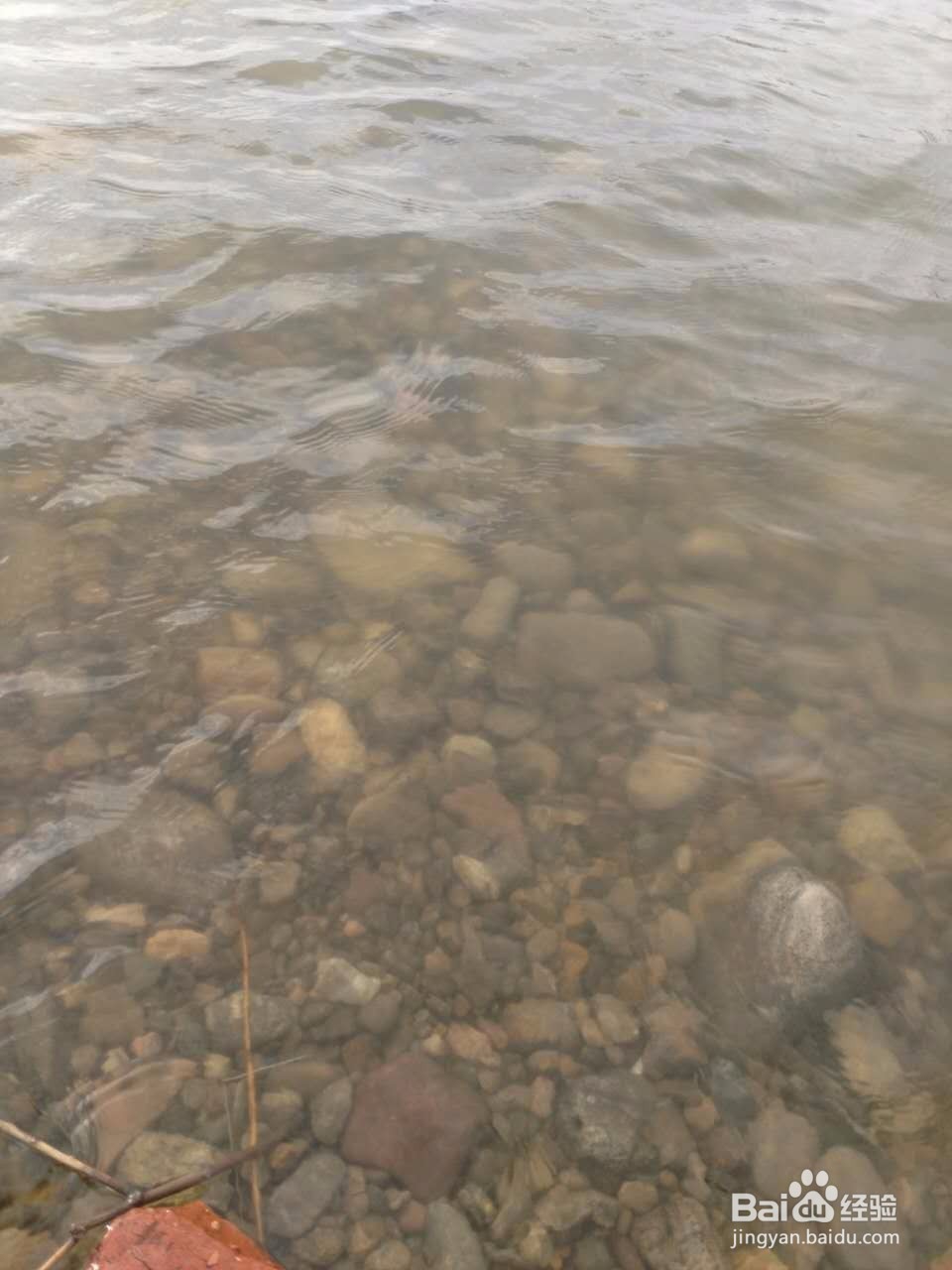 心情不好了，如何排解？