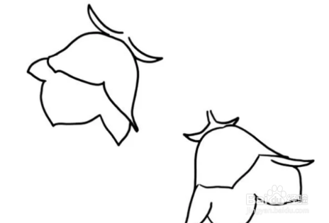 风铃草简笔画