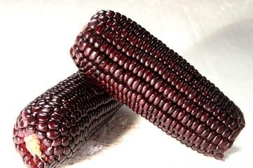 延缓衰老，“黑色食物”最养女