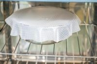 营养早餐-三色土司制作分享