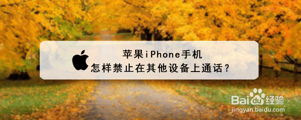 苹果iPhone手机怎样禁止在其他设备上通话