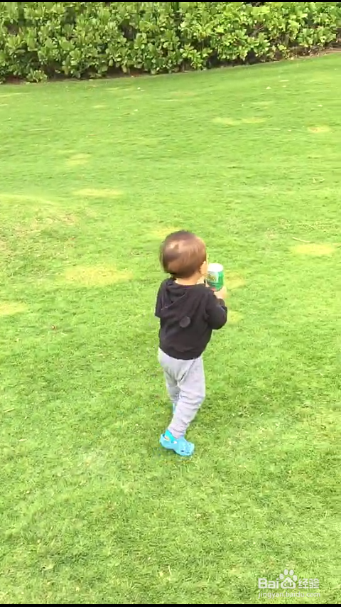 婴儿期的孩子怎样在绿茵的草坪上玩