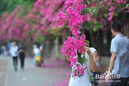 在人多的地方怎么拍好旅行照