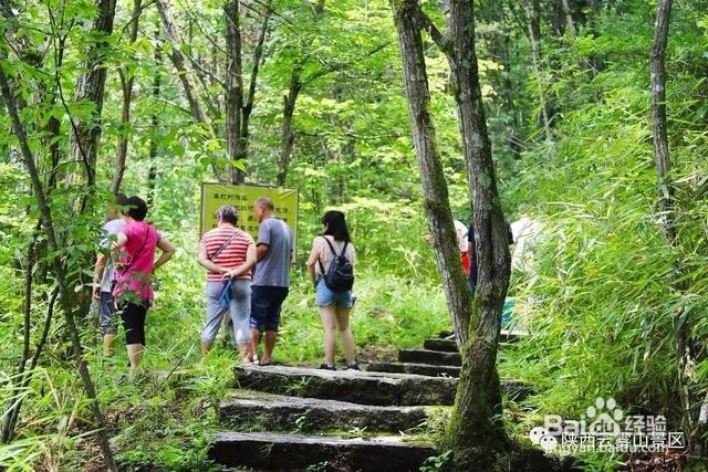 这才是云雾山游玩的正确方式