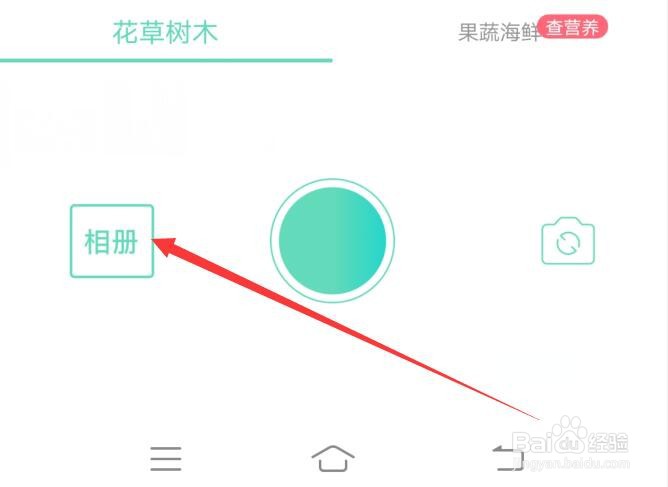 图片上的花朵如何识别出名称?