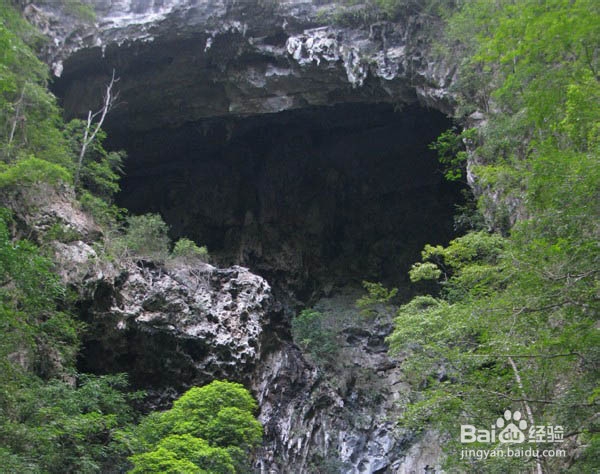 景致美如画,水质绿如葱——荔波