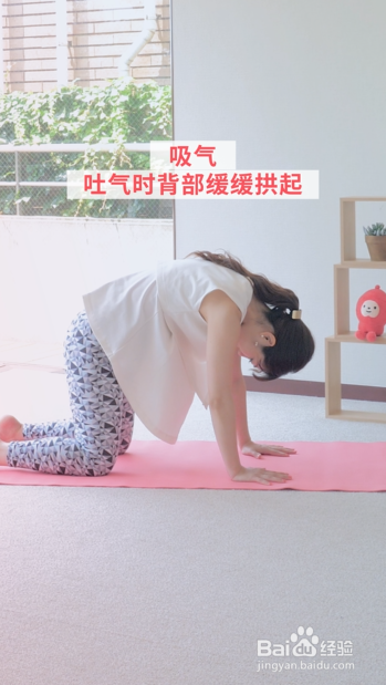 1分钟孕妇瑜伽：矫正骨盆倾斜，助力分娩