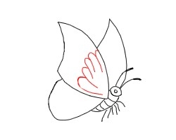 简笔画---怎么画只活生生的蝴蝶
