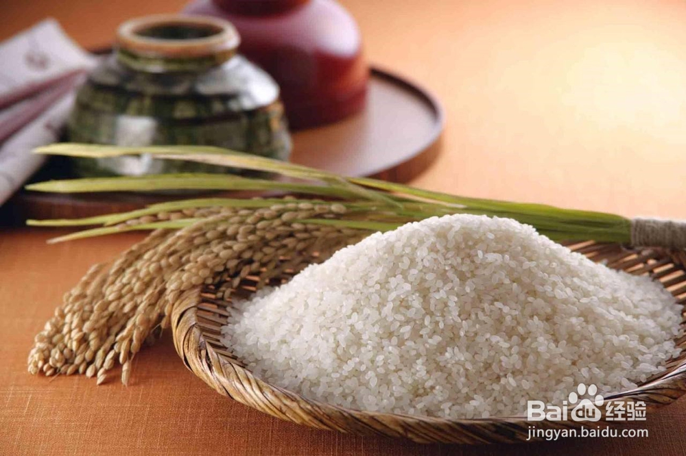 新鲜大米放密封盒里生虫怎么办?