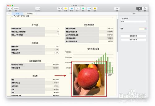 Numbers表格“教育储蓄”模板中如何插入照片