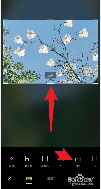 醒图怎么设置图片尺寸