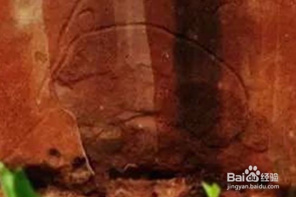 萌芽状态的艺术作品，远古与今日的对话