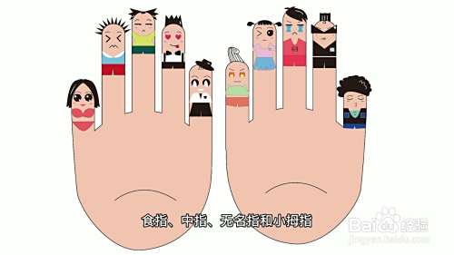 五个手指头分别叫什么