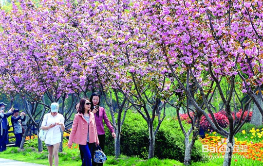 春季出游可以带孩子去哪些地方玩？