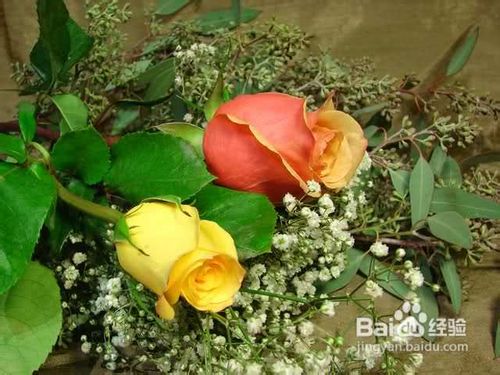 【乐趣】怎样制作玫瑰干花
