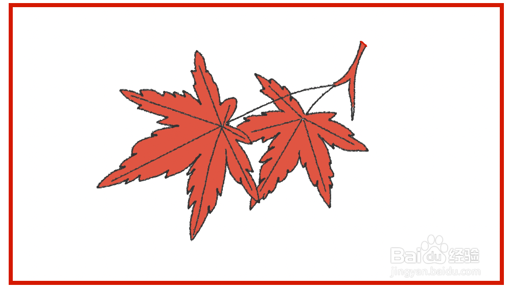 红色枫叶简笔画图片