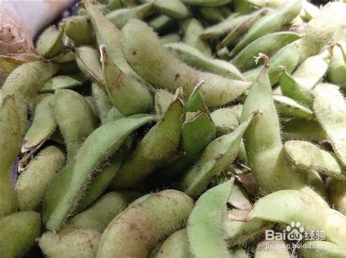 痒痒粉的简单制作方法