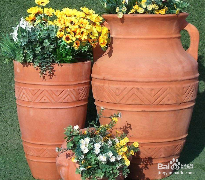 养花换花盆都要注意哪些问题？