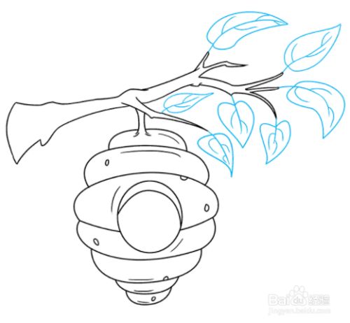 如何绘制蜂巢