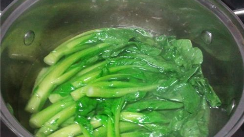 每天吃青菜能减肥吗