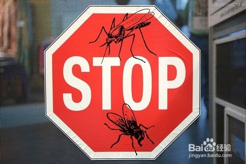 如何预防被蚊虫叮咬