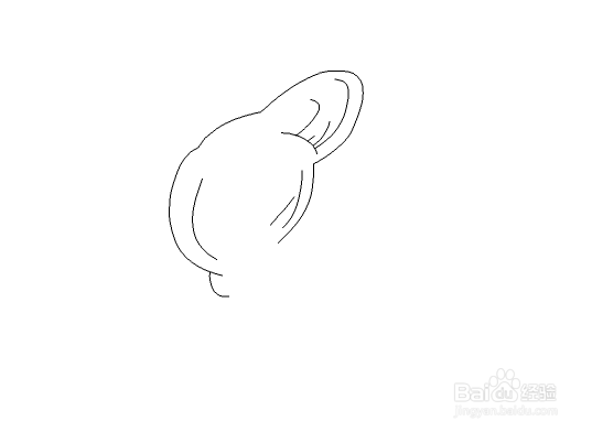 使用flash绘制矢量美女图