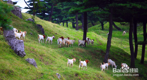 粉尘颗粒物的检测方式有哪些？