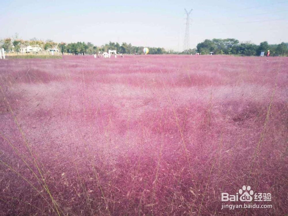 抖音上怎么吸引粉丝