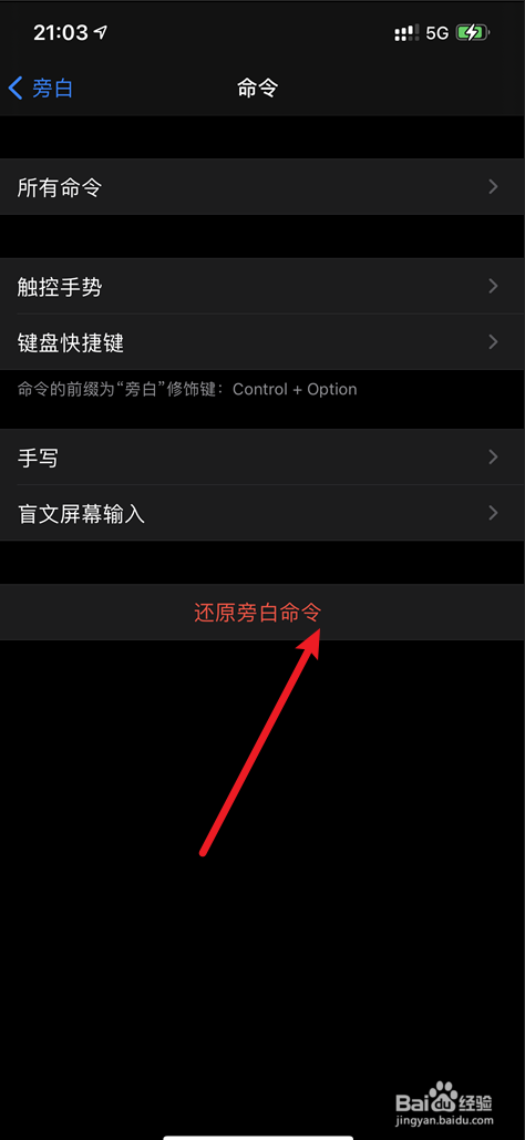 iPhone12怎么还原旁白命令的呢