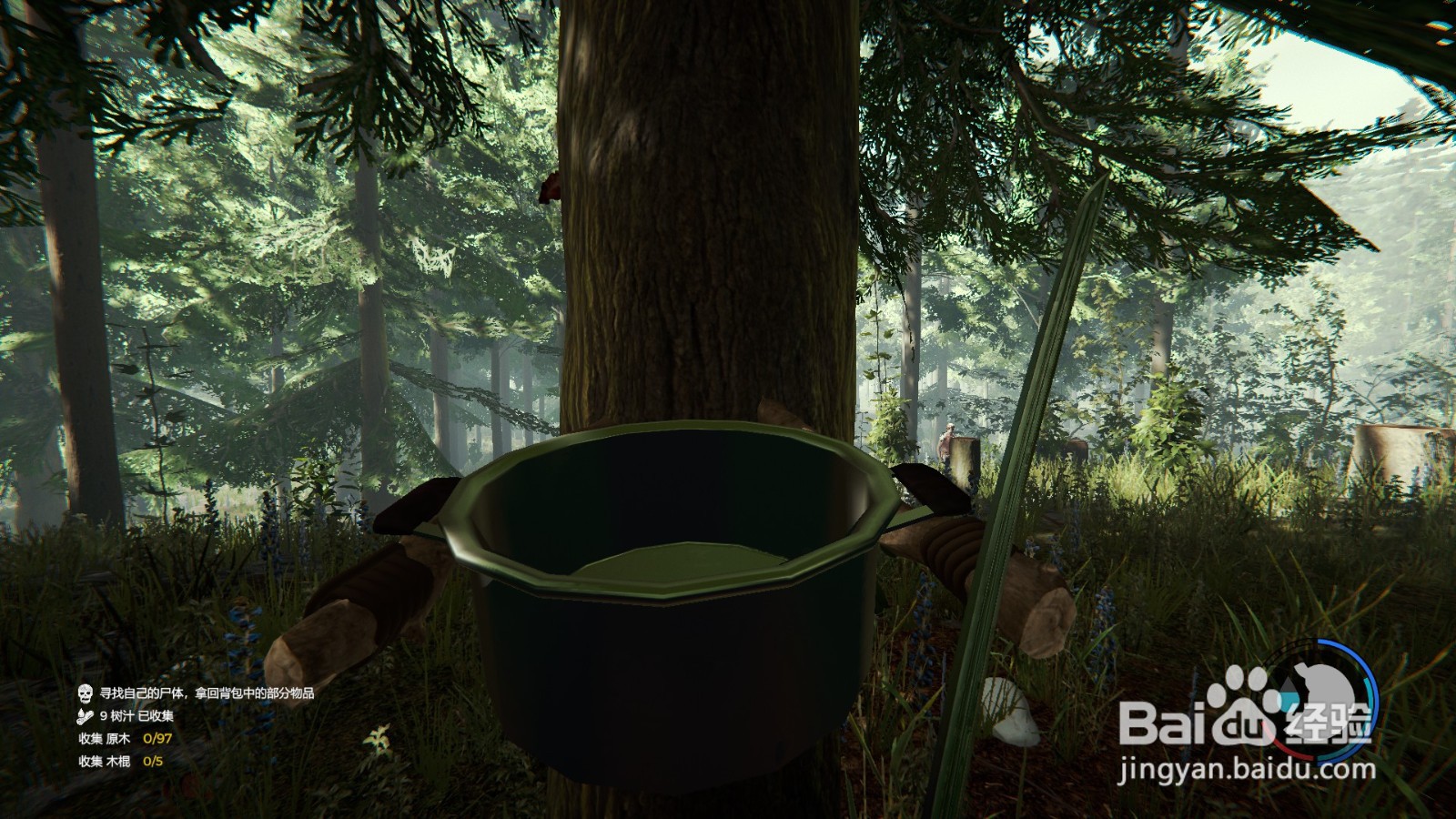 森林树胶怎么弄？