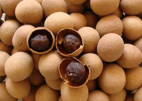 龙眼和桂圆是同一种水果吗