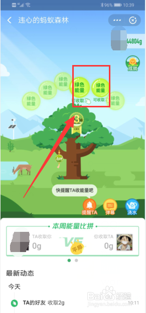 支付宝蚂蚁森林怎么收取能量