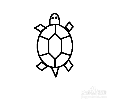 乌龟壳的画法图片