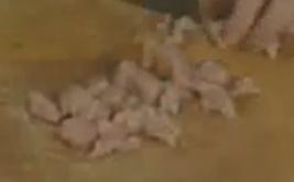宫保鸡丁的制作法
