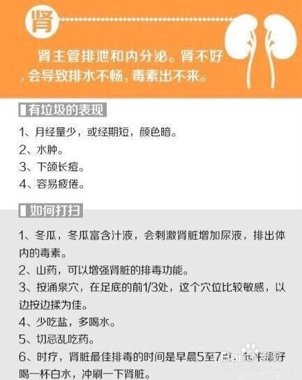 怎样使自己的五脏六腑更健康