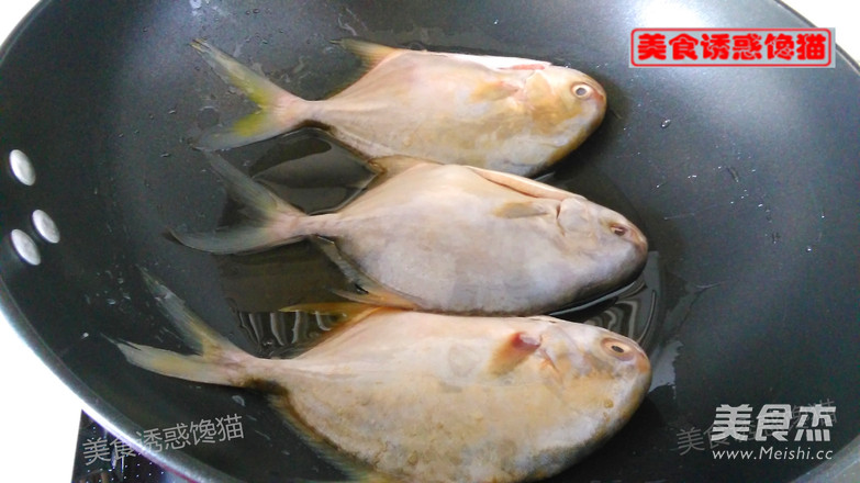 红烧金鲳鱼的做法