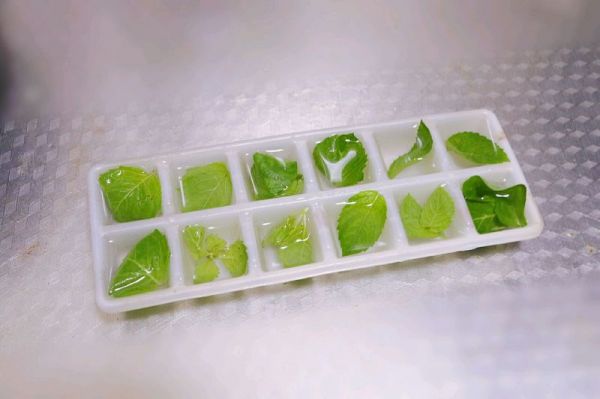 玫瑰柠檬冰红茶