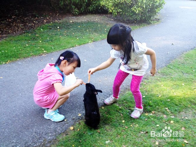 教你做吮指酒糟凤爪