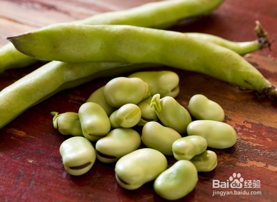 生活中常见的含有毒素的食物