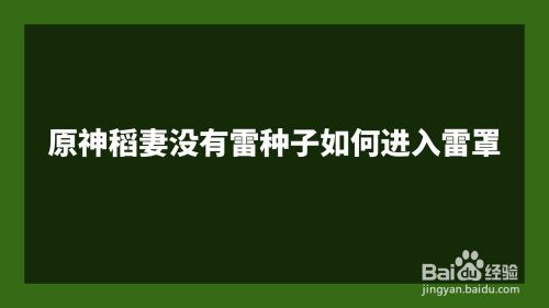 原神稻妻没有雷种子如何进入雷罩