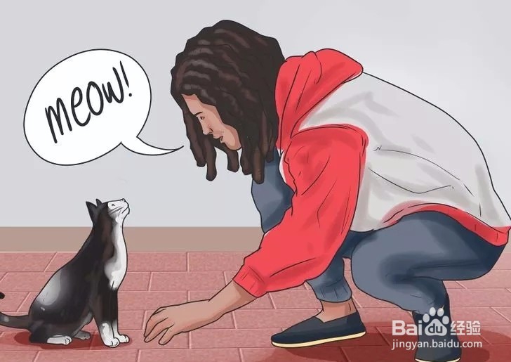 怎样驯服野猫