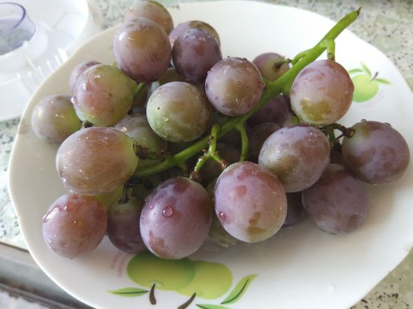 葡萄汁奶黄冰皮月饼