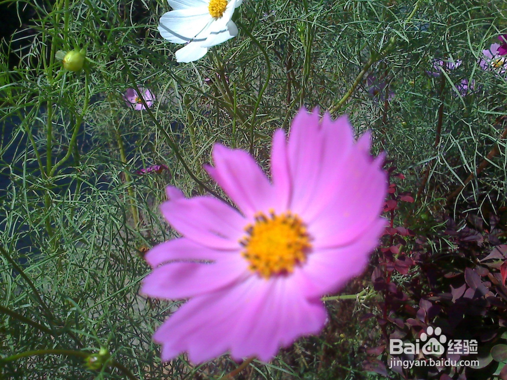 读书的好处---13