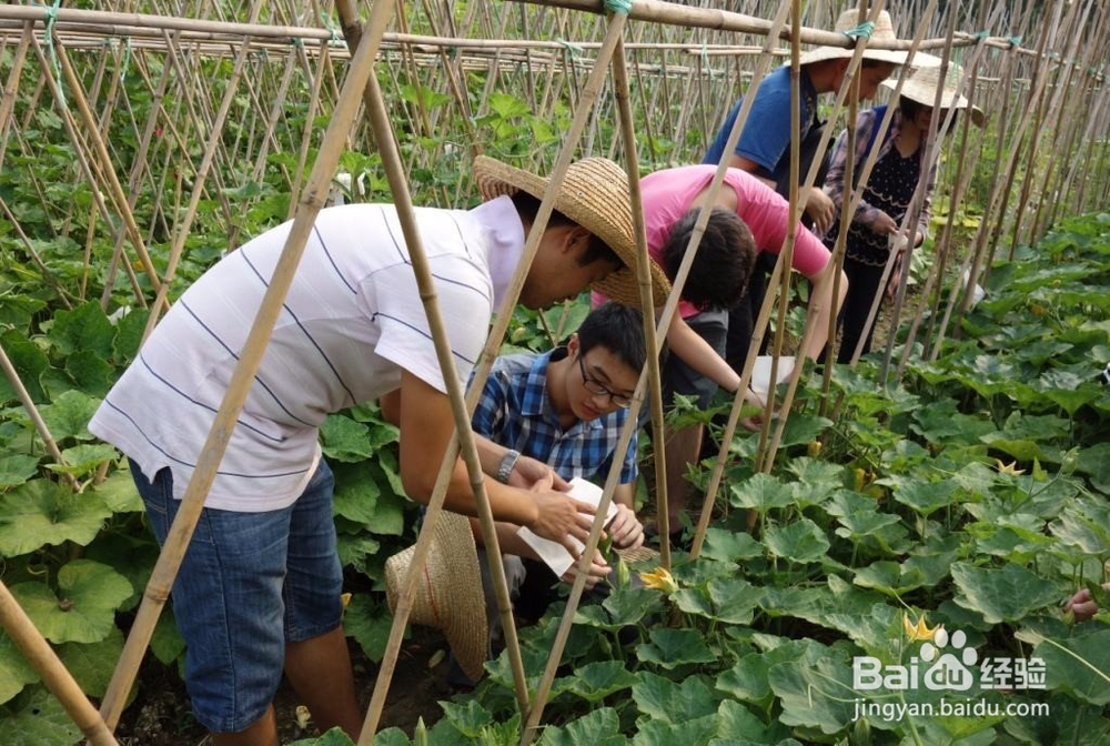 大学和社会的区别