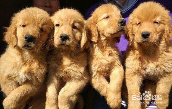 怎样预防蚊虫叮咬？