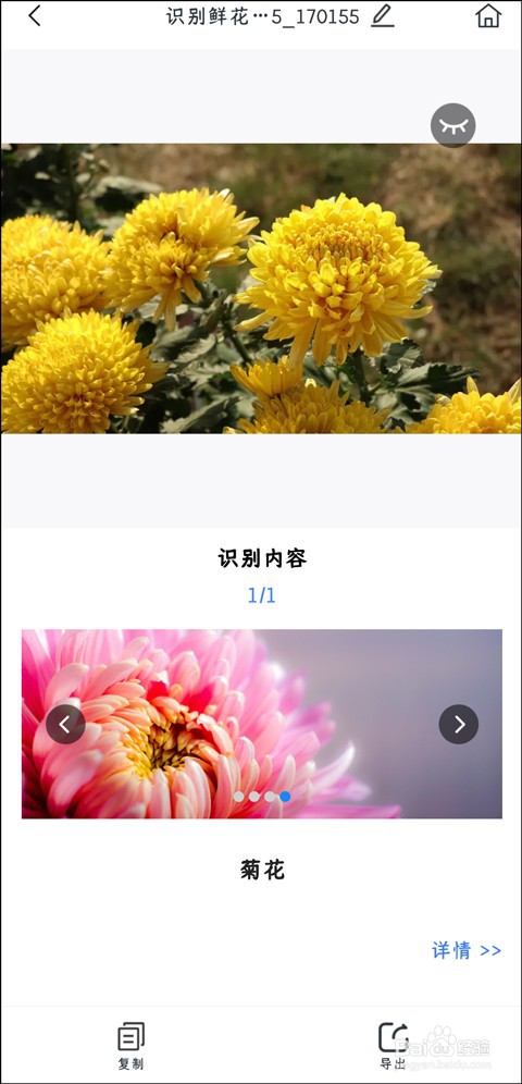 植物拍照识别怎么操作?