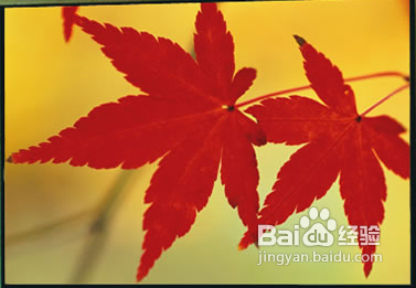 LED显示屏的选用与维护