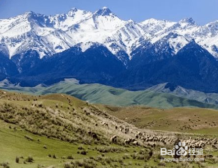 阴雨天怎么辨别方向